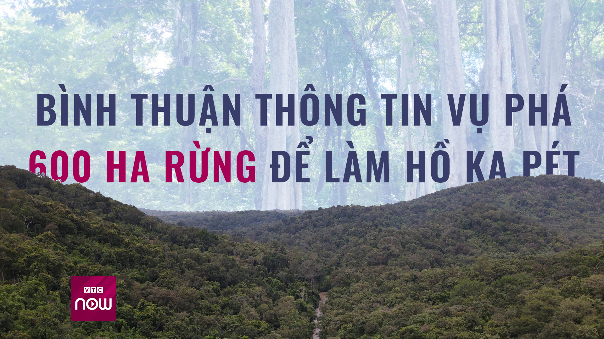 Bình Thuận thông tin vụ phá hơn 600 ha rừng làm hồ chứa nước Ka Pét
