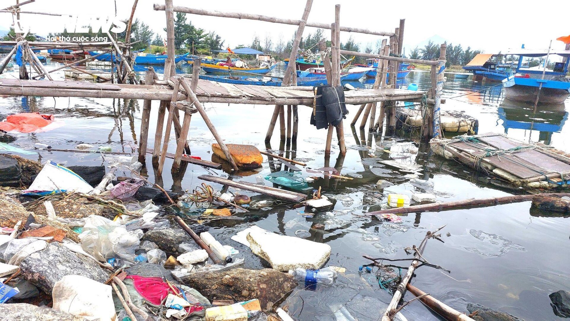 Vịnh Mân Quang ngập ngụa rác thải, nước đen như mực