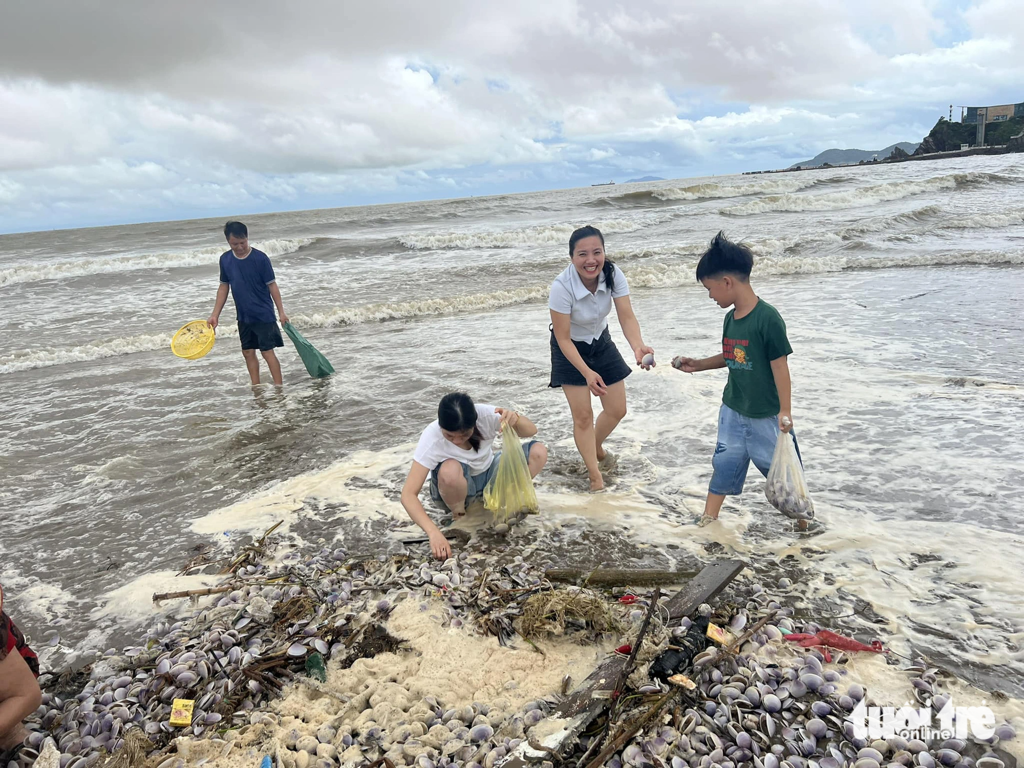 Ngao tím hiếm gặp dạt cả tấn vào bờ biển Cửa Lò, người dân rủ nhau đi nhặt