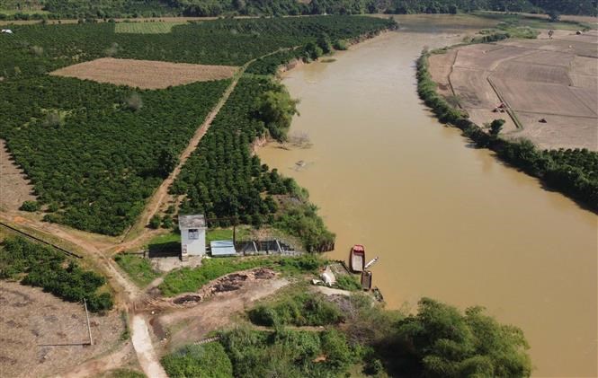 Sạt lở bở sông Krông Nô đe dọa cánh đồng lớn nhất tỉnh Đắk Nông