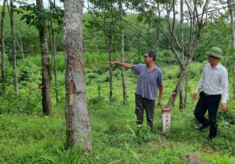 Giải phóng mặt bằng cao tốc Vạn Ninh - Cam Lộ chậm vì dân chưa tái định cư