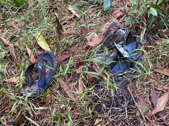 Phát hiện xác chết đã phân hủy trong rừng tràm ở Hà Tĩnh
