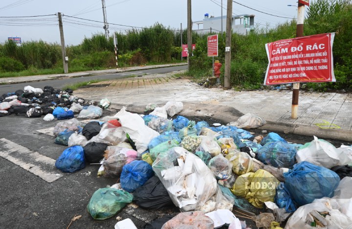 Người dân bức xúc vì rác thải vương vãi trong khu tái định cư ở Bến Tre