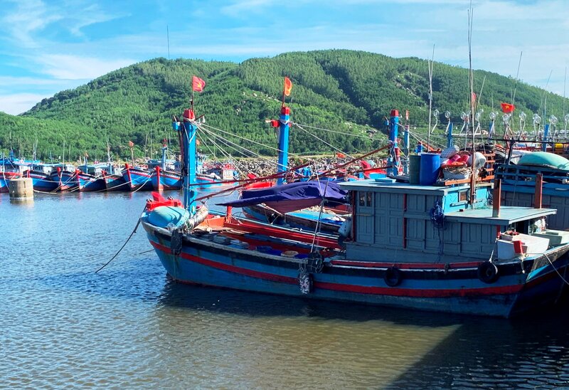 Bộ NN&PTNT đề nghị Quảng Ngãi tập trung gỡ khó cho hơn 700 tàu cá nằm bờ