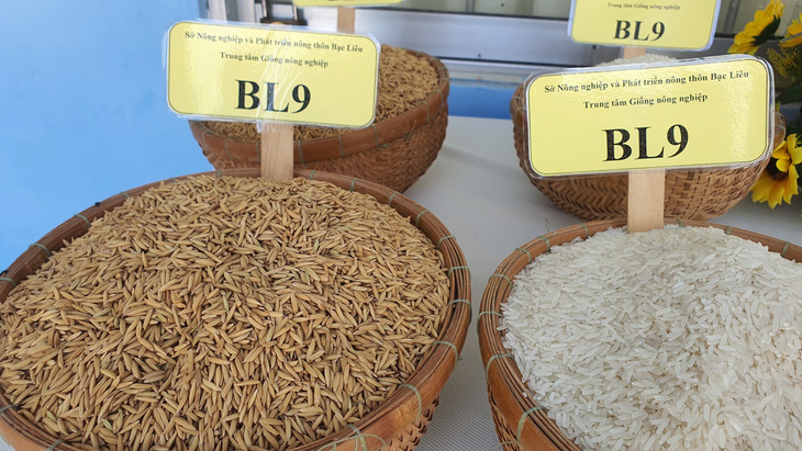 Hỗ trợ giống, vật tư cho dân phát triển giống lúa đặc cách BL9