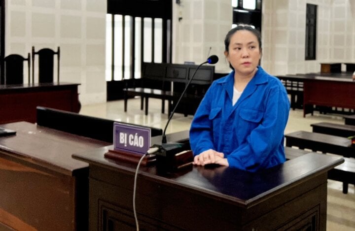 Lừa người Việt làm cho công ty Trung Quốc, nữ phiên dịch viên lĩnh 16 năm tù