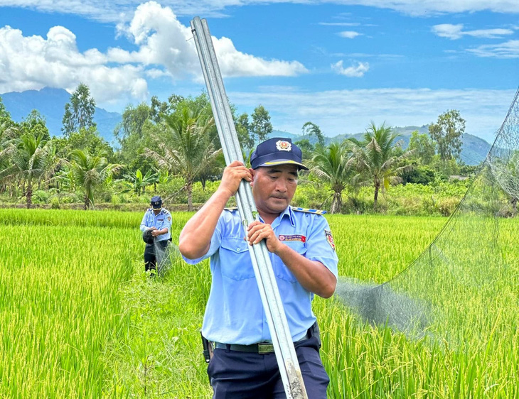 Chim yến bị truy sát khốc liệt, Khánh Hòa phải lập đội liên ngành bảo vệ