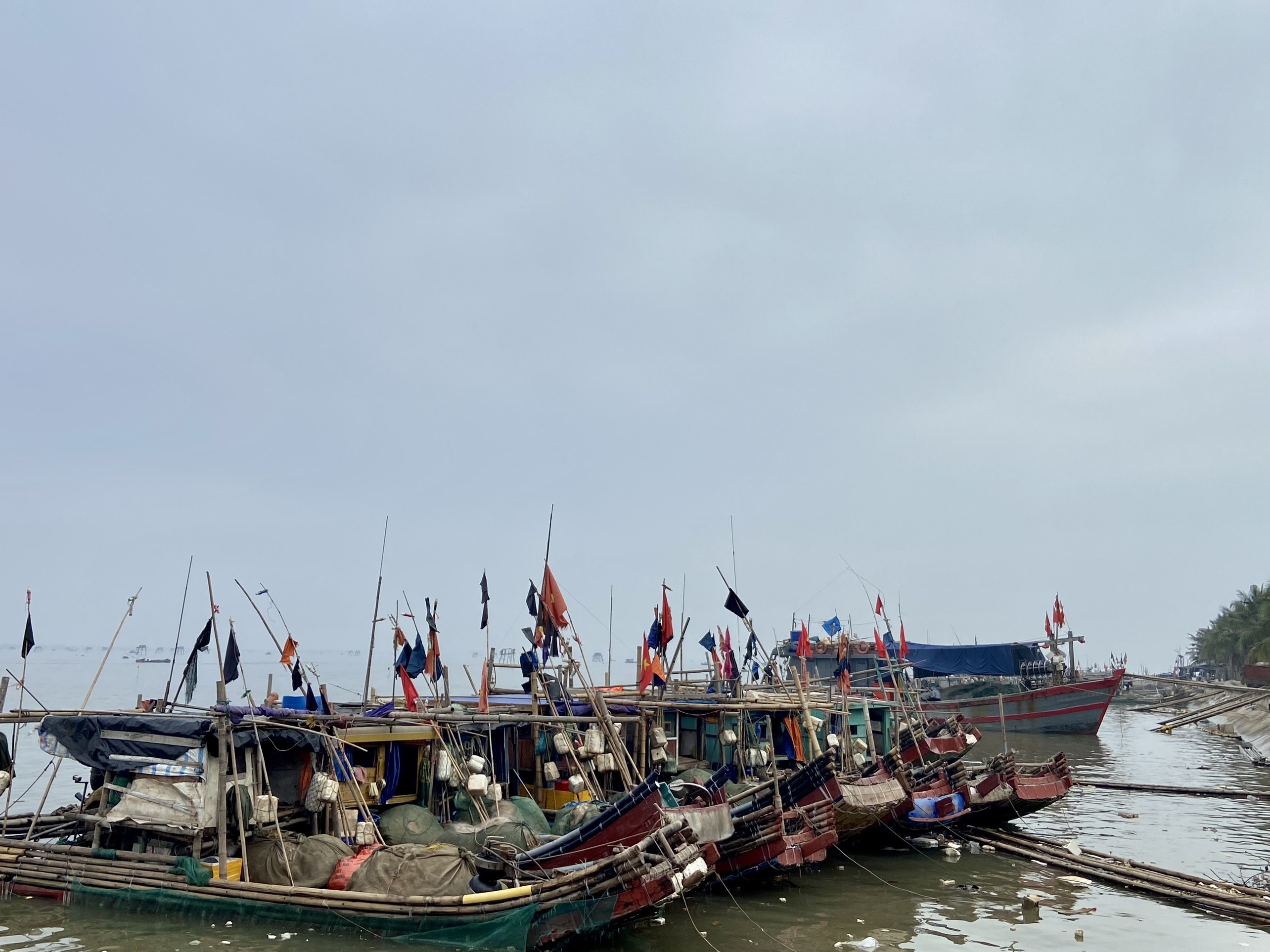 Ngư dân Thanh Hóa phấn khởi trúng đậm mẻ cá lớn đầu năm