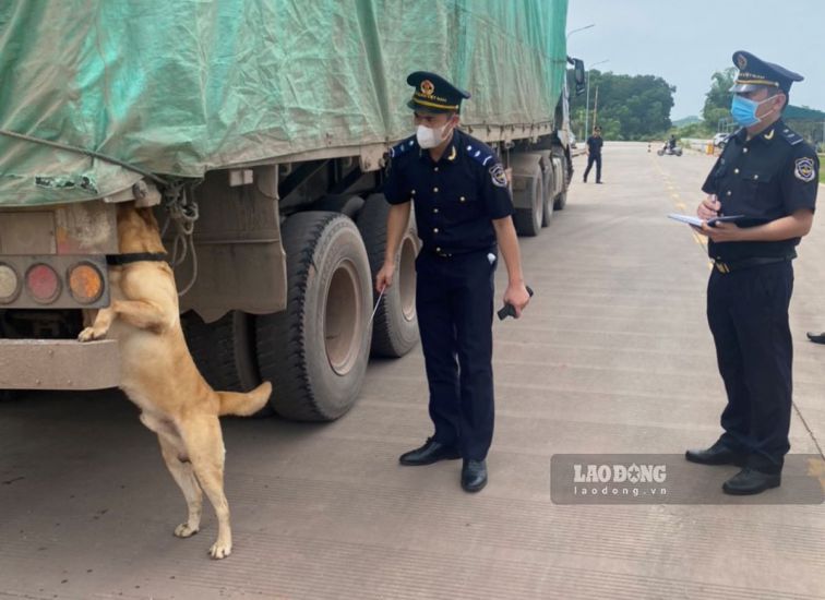 Ngăn chặn buôn lậu ở Móng Cái, Quảng Ninh dịp áp Tết