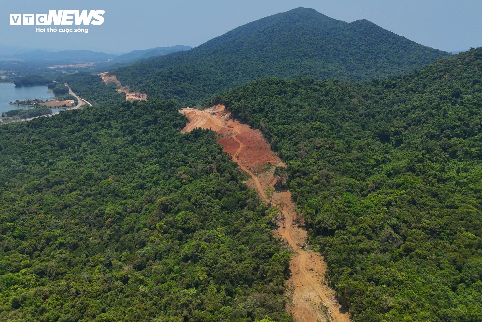 Cận cảnh 12,63 ha rừng tự nhiên tại Bình Định làm chậm tiến độ cao tốc Bắc Nam