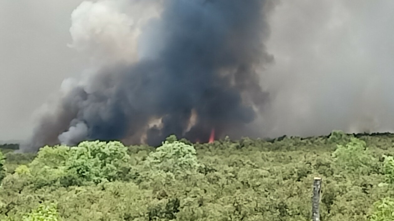 Cháy 400 ha rừng tràm ở Kiên Giang