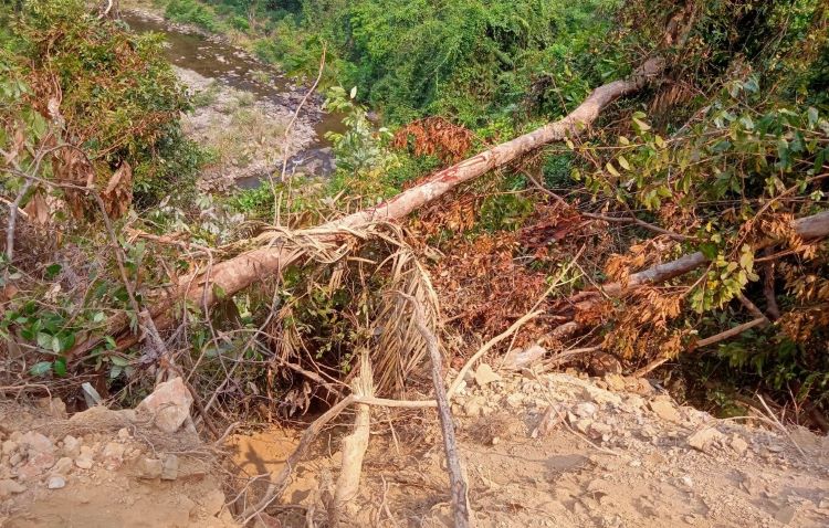 Yêu cầu điều tra, xử lý vụ làm đường san ủi luôn rừng tự nhiên ở Quảng Trị