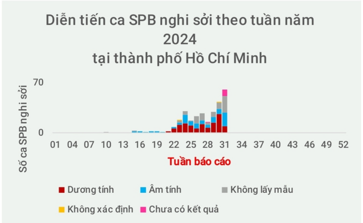 TP.HCM ghi nhận 3 trẻ tử vong liên quan bệnh sởi