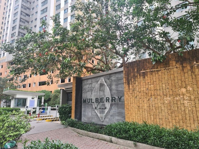 Nữ thư ký Ban quản trị chung cư Mulberry Lane bị khởi tố vì làm giả giấy tờ tham ô tài sản