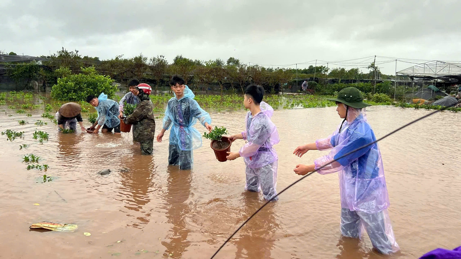 Tuổi trẻ Hưng Yên 'dầm mưa' chạy lũ với nông dân