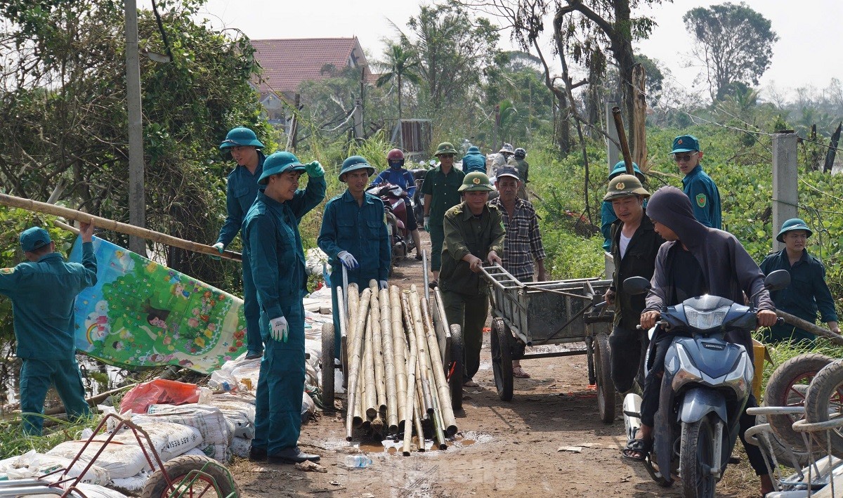 Tuổi trẻ Hải Phòng ngày đêm đắp đê ngăn lũ