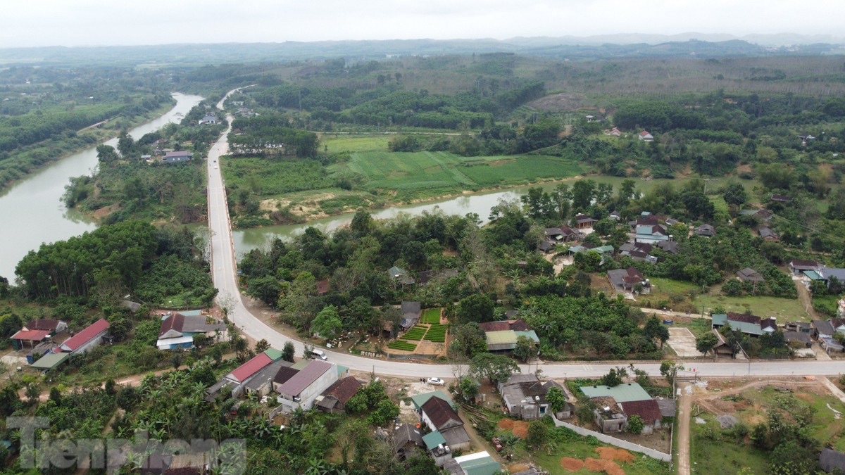 Trâu bò nghênh ngang trên quốc lộ 15A