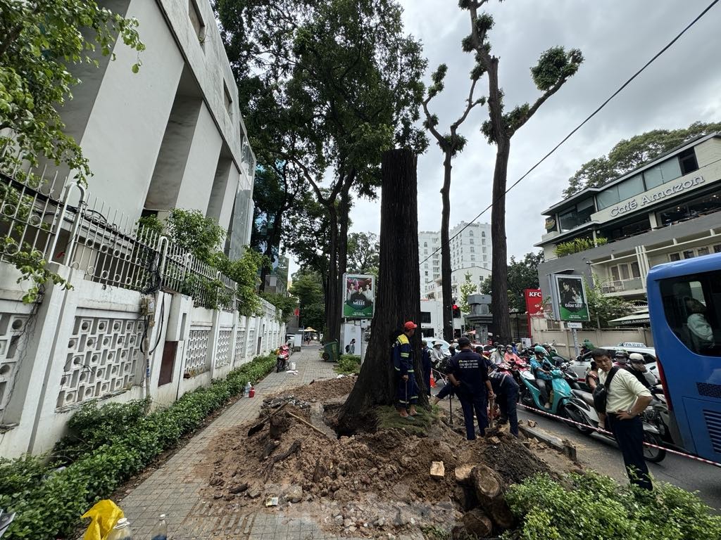 TPHCM khẩn trương ứng phó bão số 6 Trà Mi