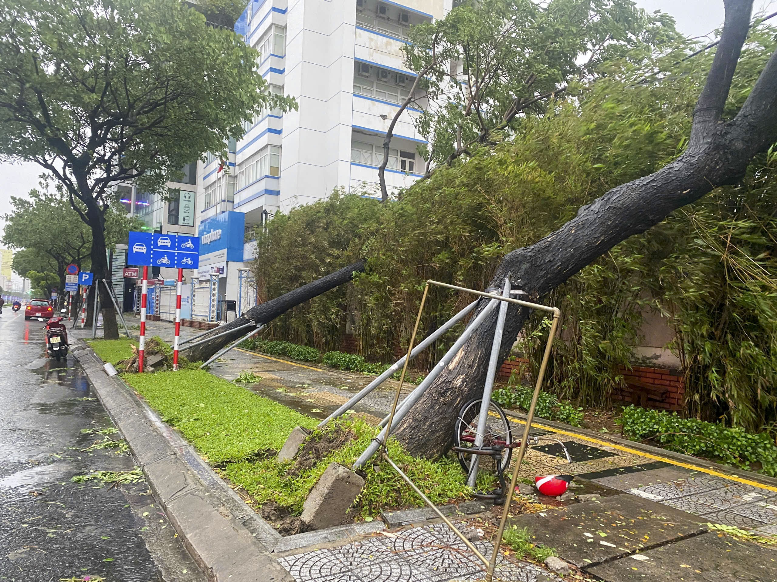 Bão số 6 áp sát, cây xanh gãy đổ la liệt ở Đà Nẵng