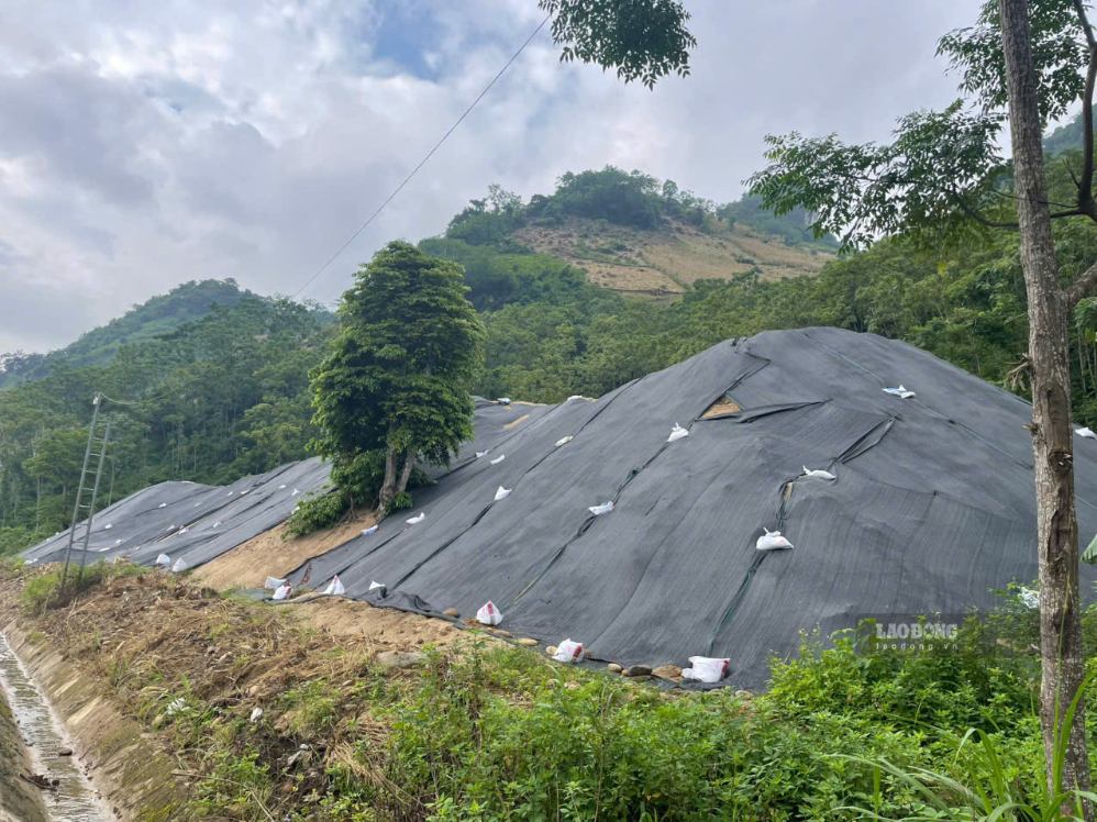 Cận cảnh bãi cát