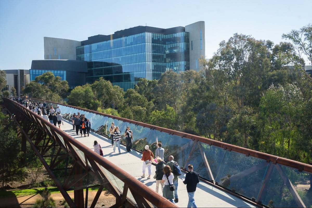 Cứ 5 hồ sơ visa du học Australia thì một bị từ chối