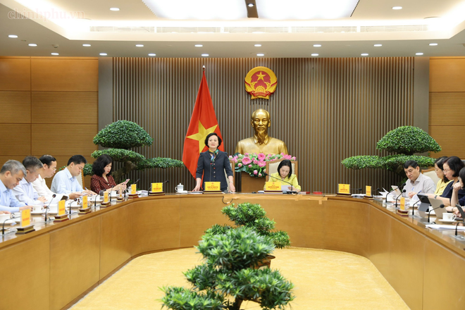 Phó thủ tướng Phạm Thị Thanh Trà: Phải minh bạch giá, giảm trung gian trong mua sắm thiết bị y tế