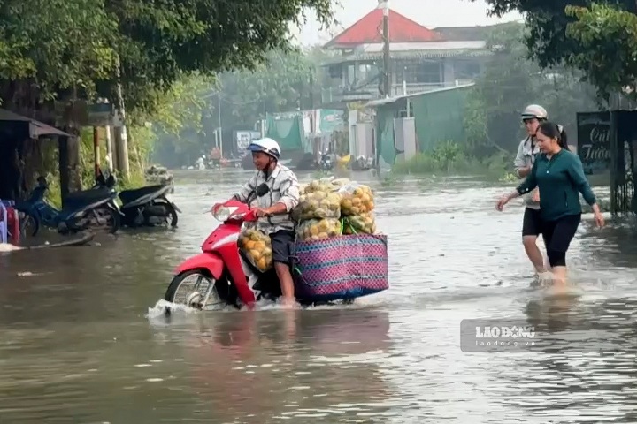 Đường ở Cần Thơ chi chít ổ gà, ổ voi giữa mùa mưa và triều cường