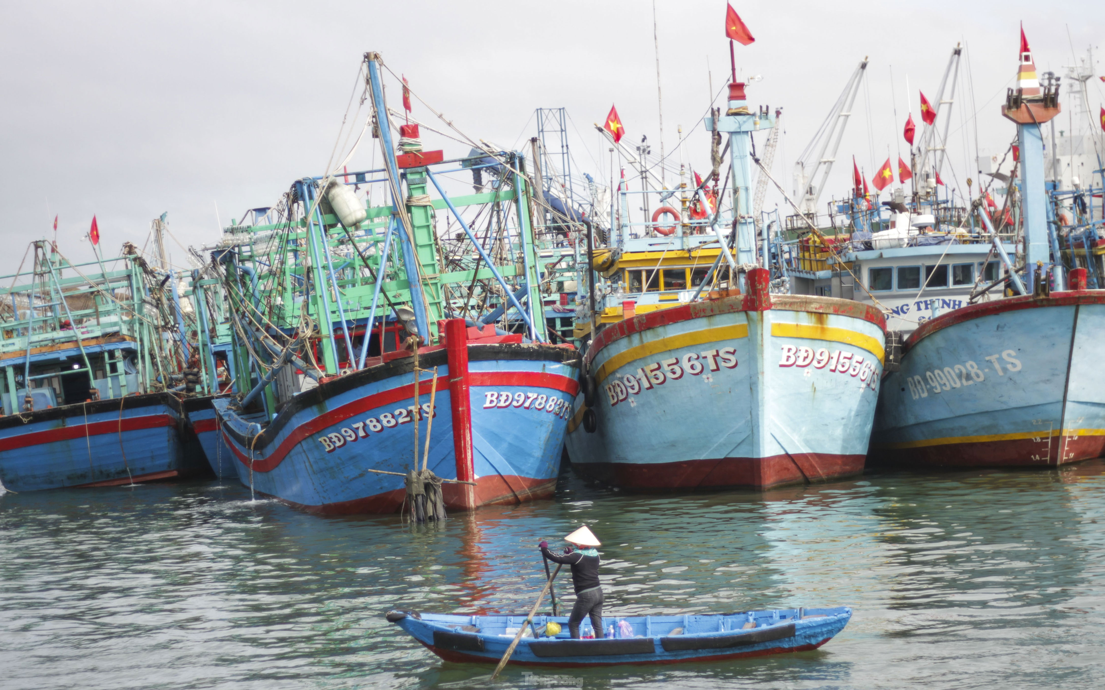 Bình Định: Hàng nghìn ngư dân vươn khơi bám biển xuyên Tết