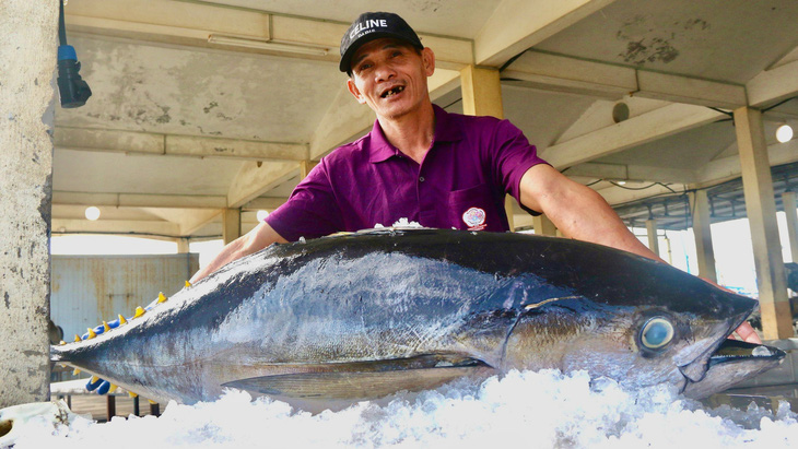 Ngư dân Phú Yên, Khánh Hòa trúng đậm cá ngừ đại dương