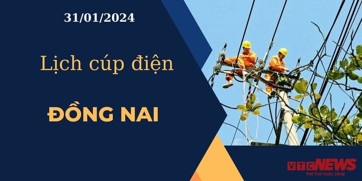 Lịch cúp điện hôm nay ngày 31/01/2024 tại Đồng Nai