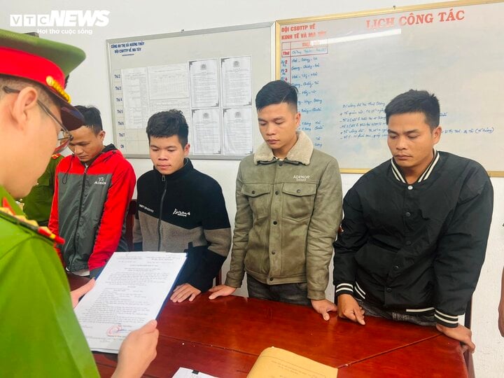 Bắt 4 kẻ cưa trộm 30 cây keo tràm trong rừng phòng hộ ở Thừa Thiên - Huế