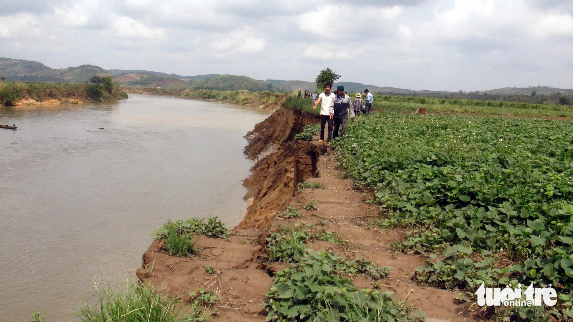 Hàng trăm hecta ruộng biến thành sông, Đắk Nông kêu cứu lên trung ương