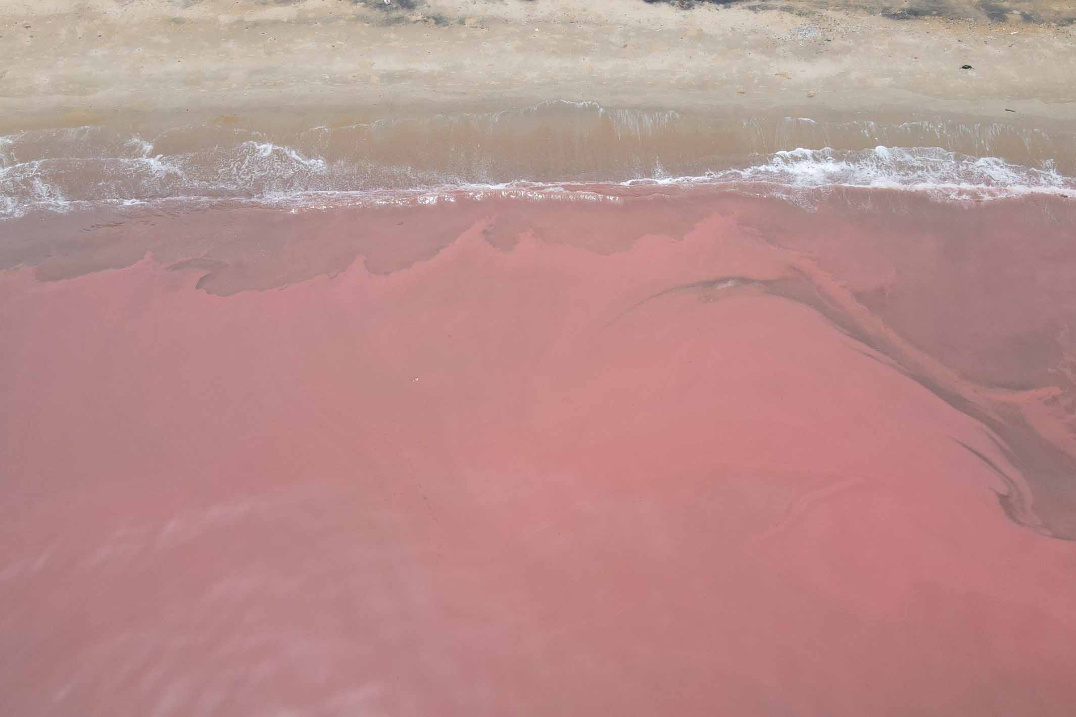 Nguyên nhân khiến nước biển chuyển màu đỏ như máu ở Hà Tĩnh