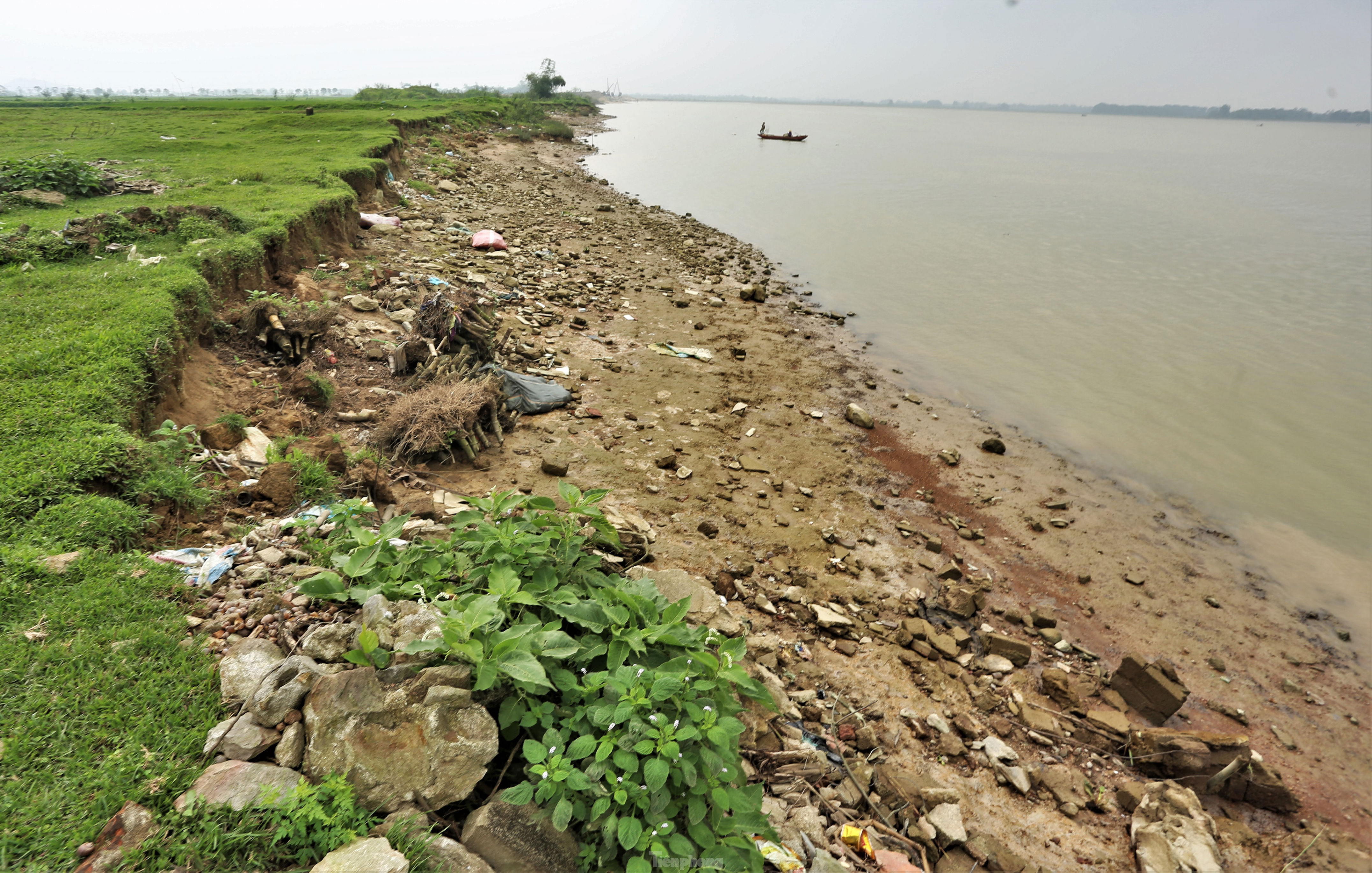 Sạt lở bờ sông Lam nhiều năm 'nuốt' đất sản xuất, người dân lo lắng
