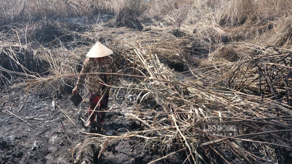 Đám cháy sau 2 ngày vẫn còn âm ỉ, nhiều người tranh thủ vào nhặt phế liệu