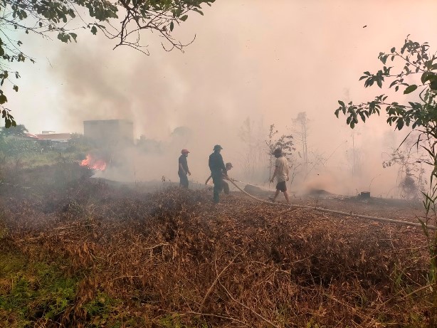 Cháy rừng tạp phía sau nhà dân dọc Quốc lộ 80 ở Kiên Giang
