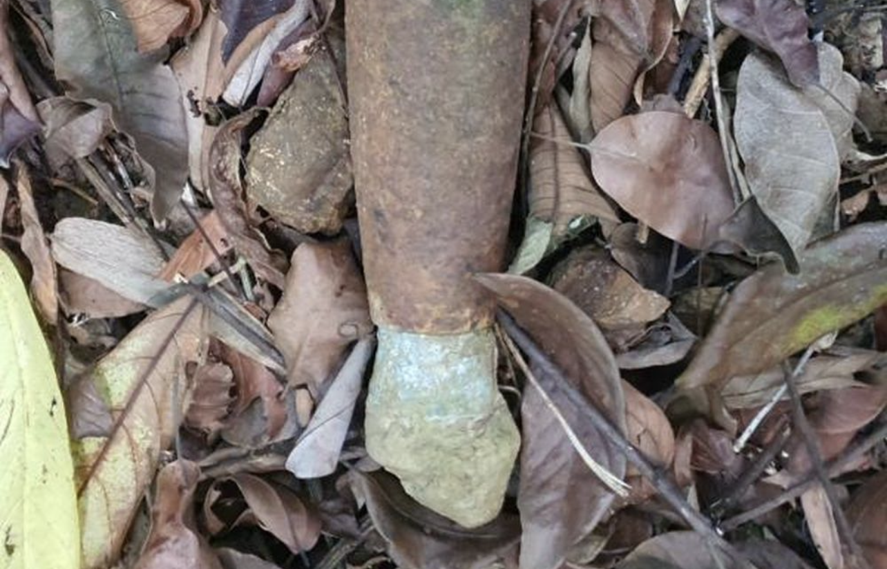 Phát hiện nhiều bom đạn trong khu bảo tồn thiên nhiên ở Quảng Trị