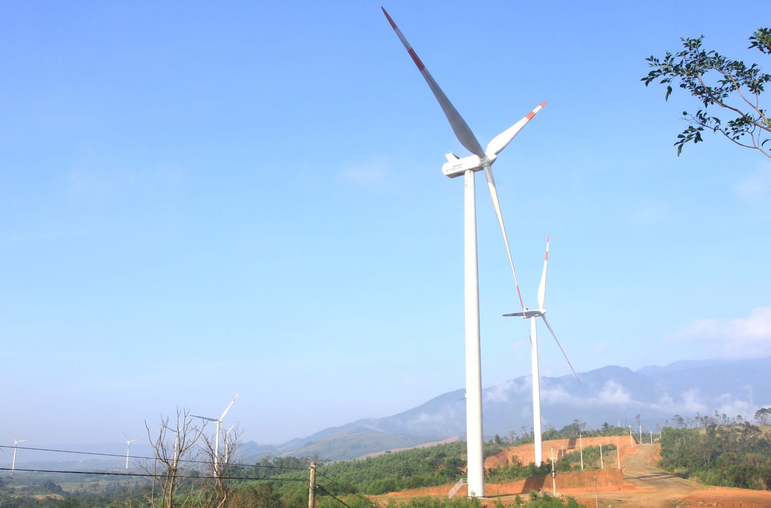 Đề nghị thu hồi sổ đỏ có gắn tài sản của dự án điện gió xây trên đất rừng tại Quảng Trị