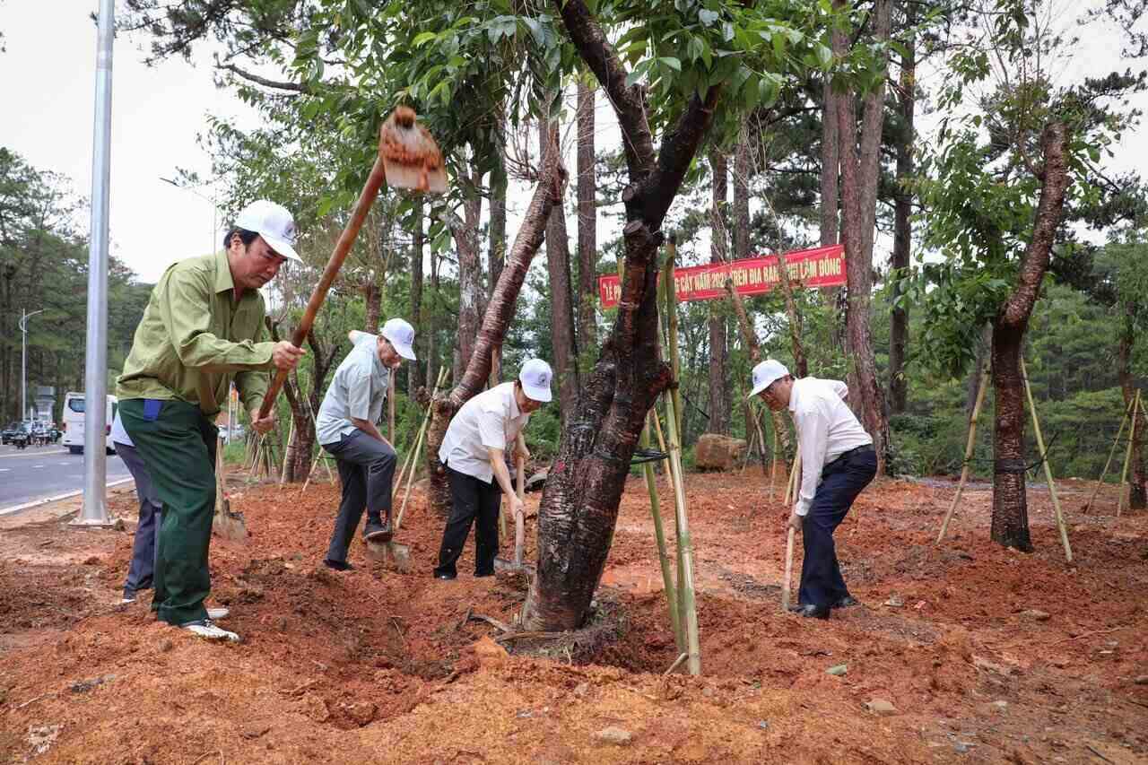 Lâm Đồng trồng hàng ngàn cây xanh dọc tuyến đèo Prenn dịp sinh nhật Bác