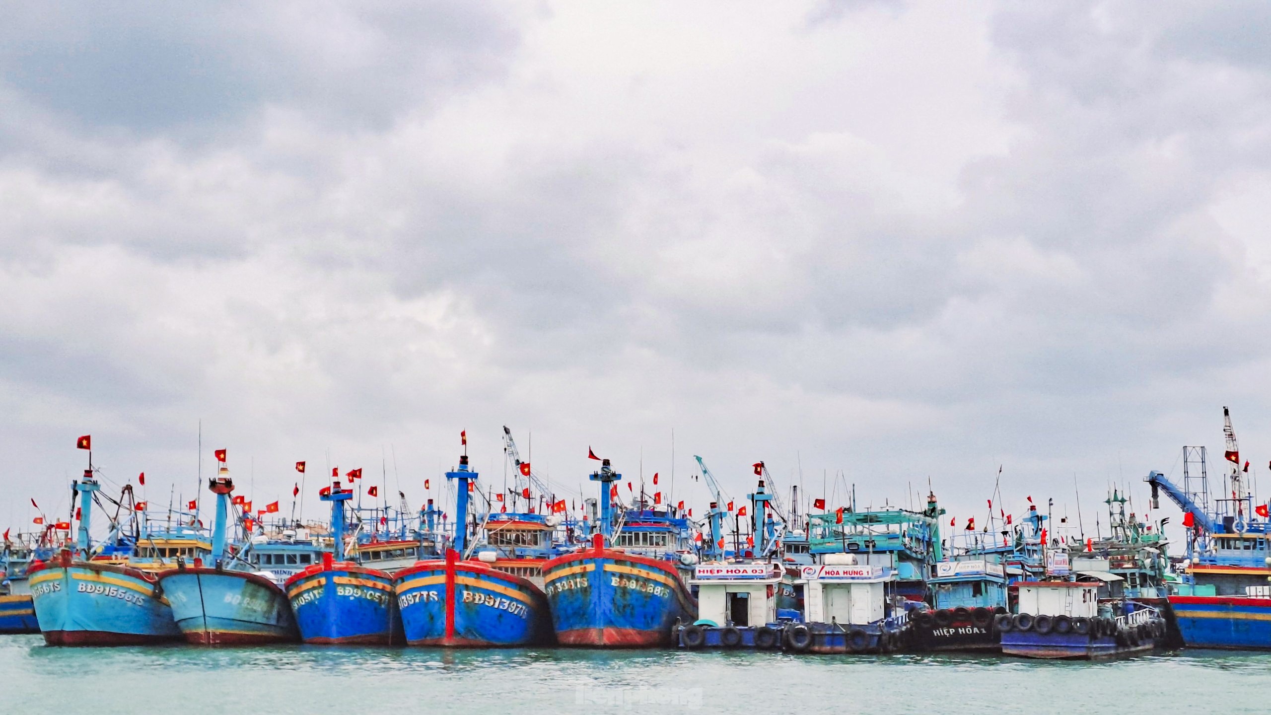 Bình Định sẽ di dời toàn bộ tàu neo đậu tại cảng cá Quy Nhơn về đầm Đề Gi