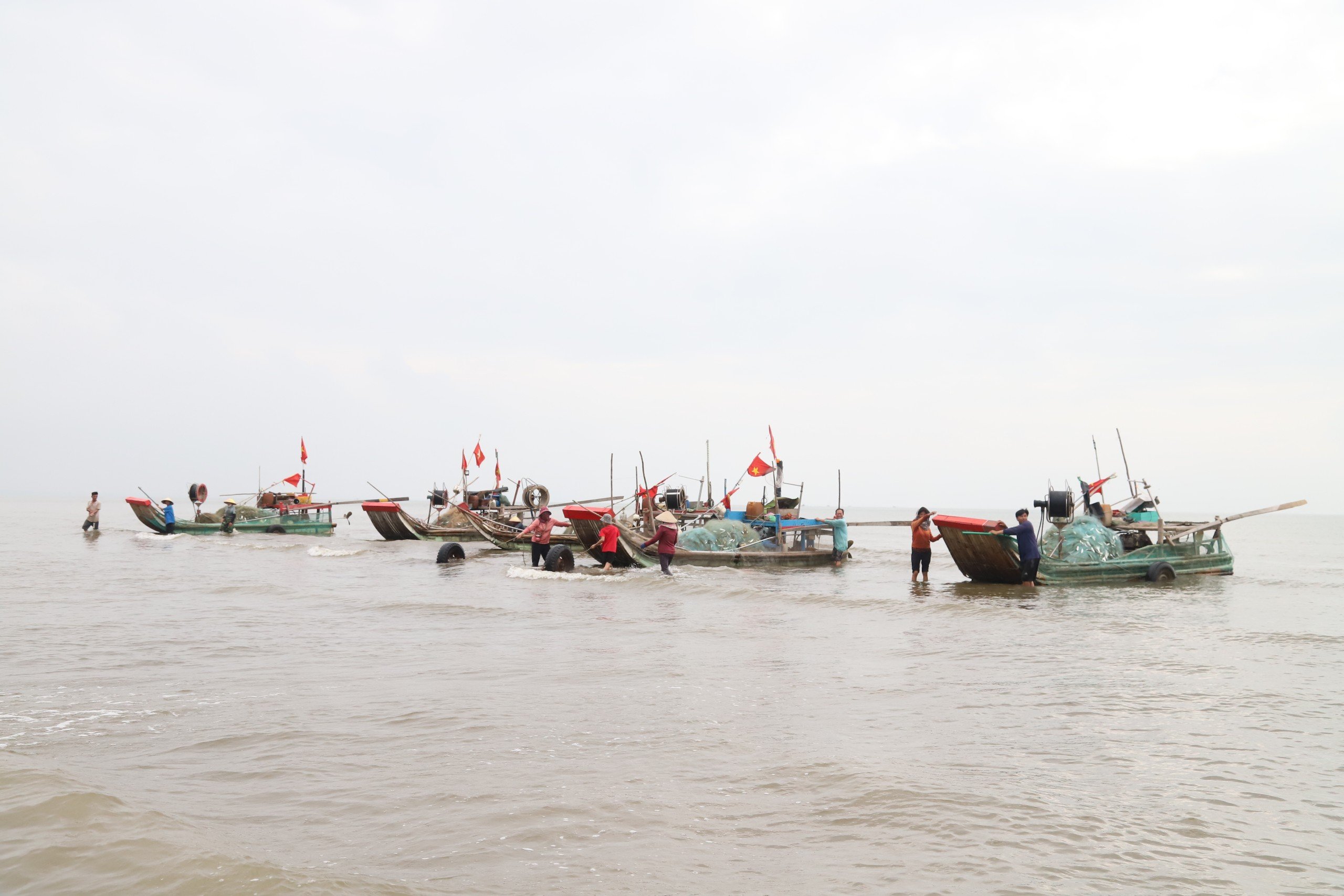 Ngư dân xứ Nghệ rộn ràng mùa thu hoạch ruốc biển