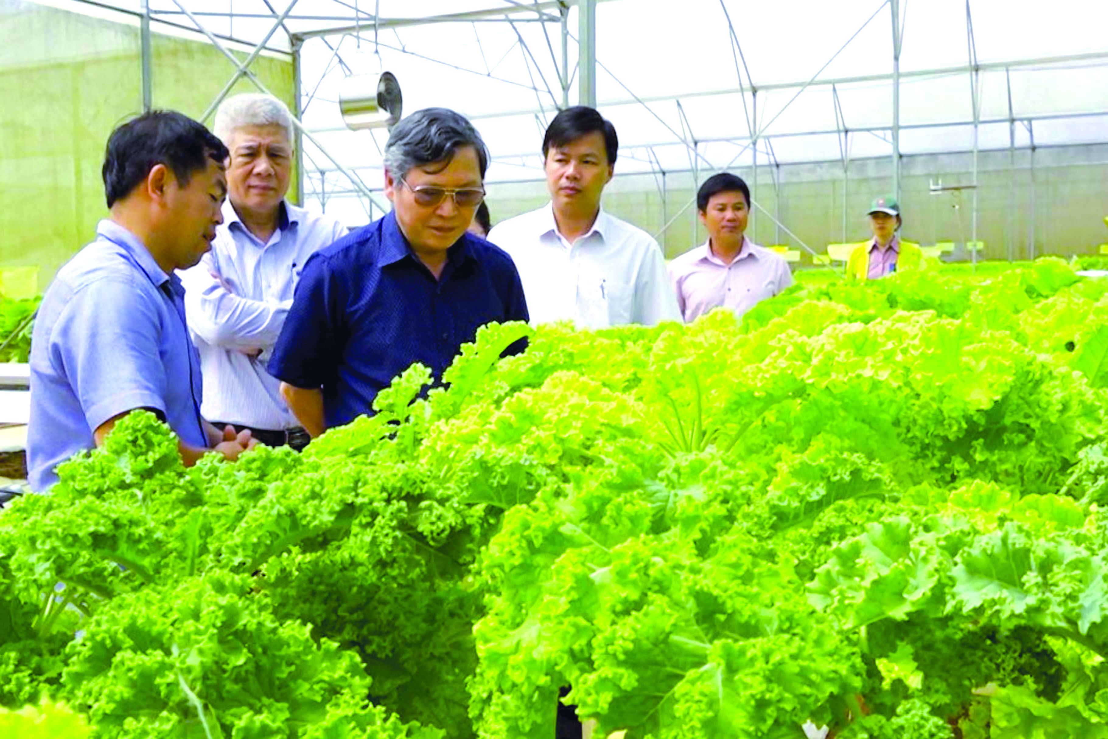 Thế mạnh phát triển nông nghiệp của huyện Kon Plông