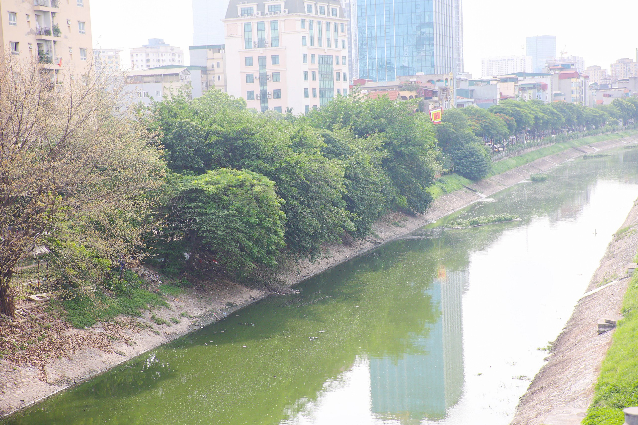 Nước sông Tô Lịch bỗng chuyển sang màu xanh lục
