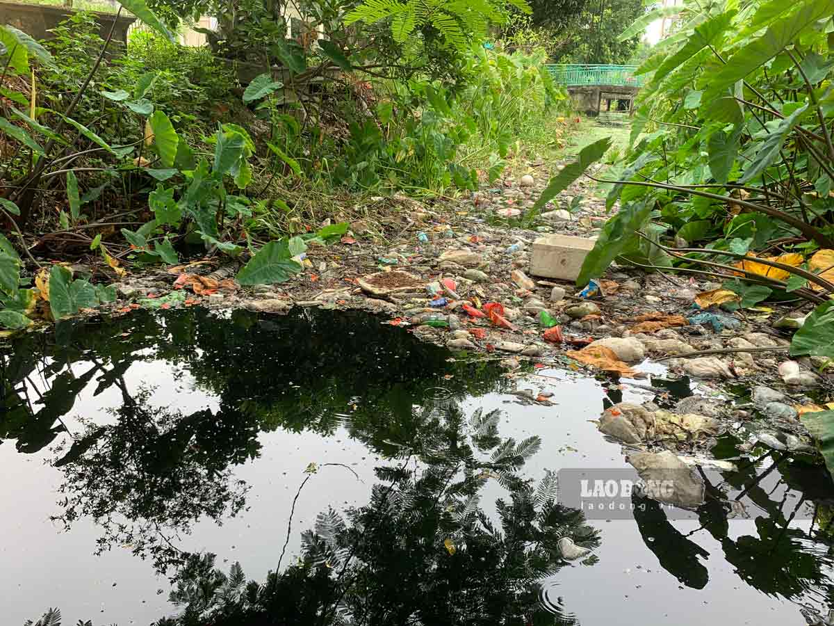 Mương thoát nước đen xì, chứa đầy rác ô nhiễm trong khu dân cư ở Nam Định