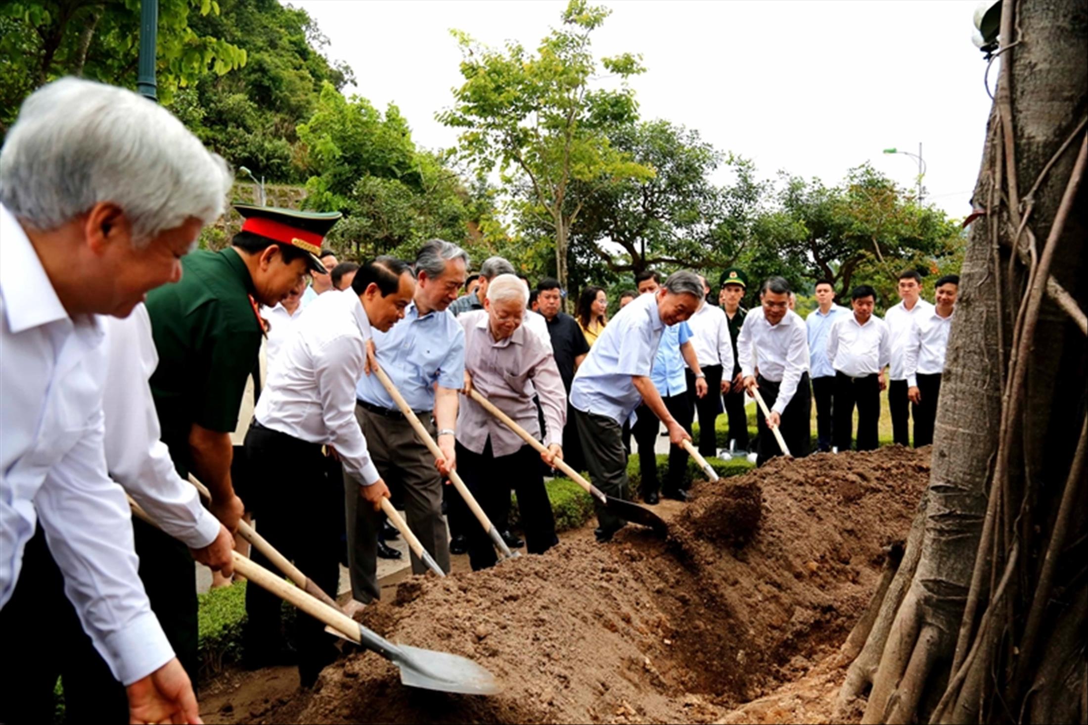 Cây đa biên ải nhớ người trồng